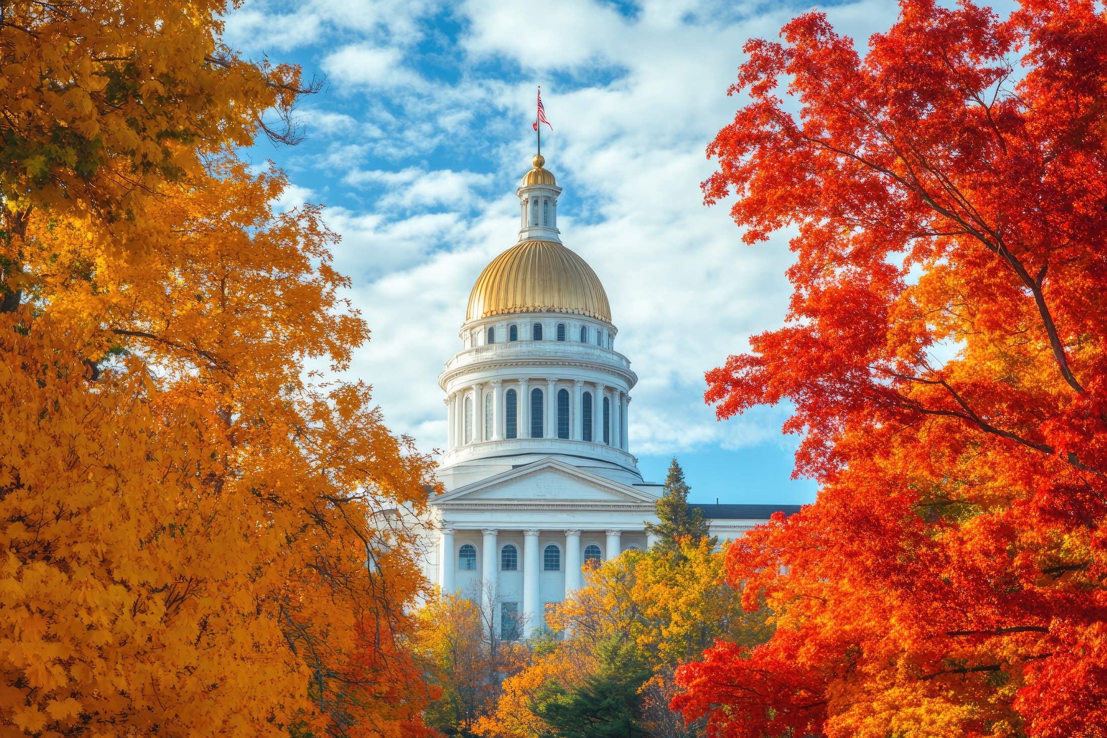 Photo of the Vermont State Assembly House framed by fall leaves