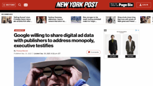 NY Post article screenshot