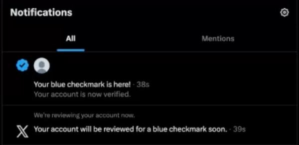 Screenshot from X showing a verified check mark on the test account