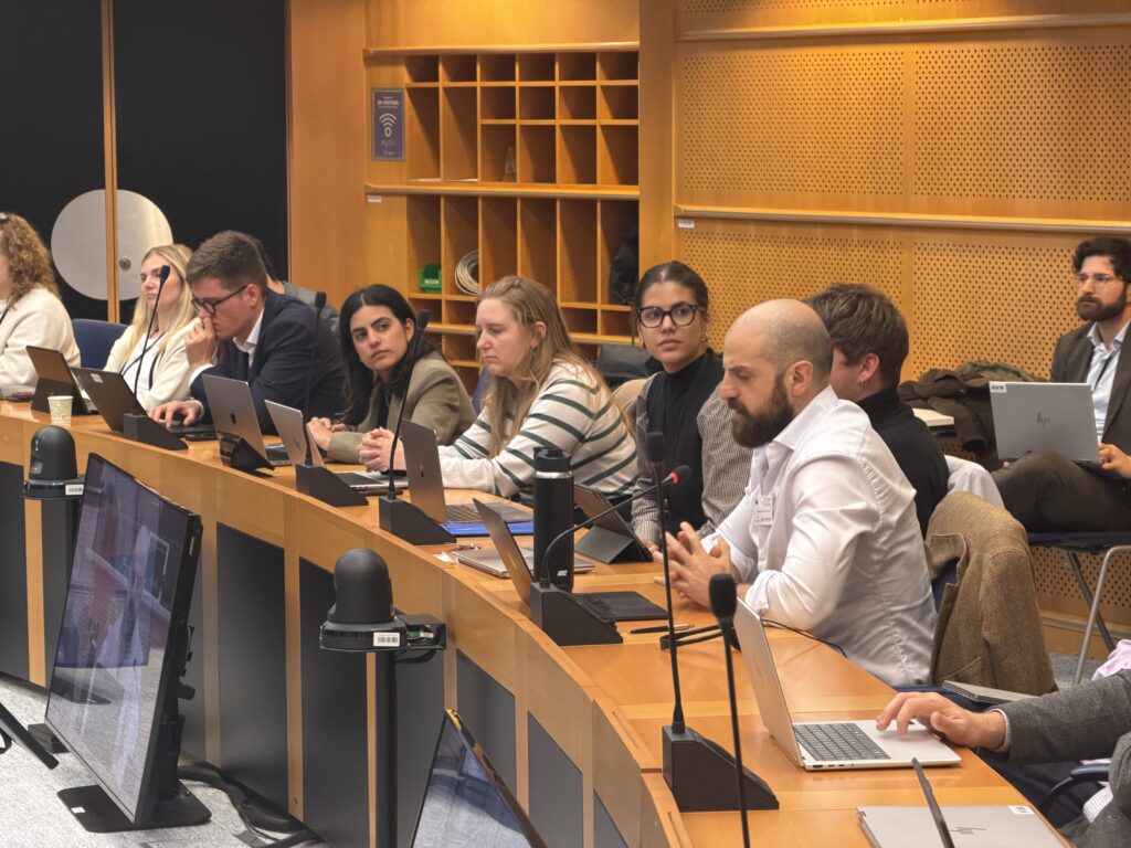 May 12, 2026 Lex at the technical workshop in the European Parliament. Discussion revolved around Article 88b and privacy signals. Lex’s intervention was clear - without advertising exemptions, the industry will do everything to kill the provision.